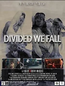 Divided We Fall